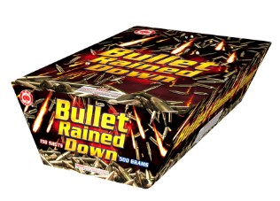 bullet rained down
